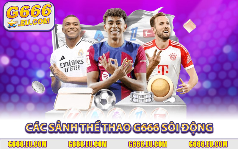Các Sảnh Thể Thao G666 Sôi Động