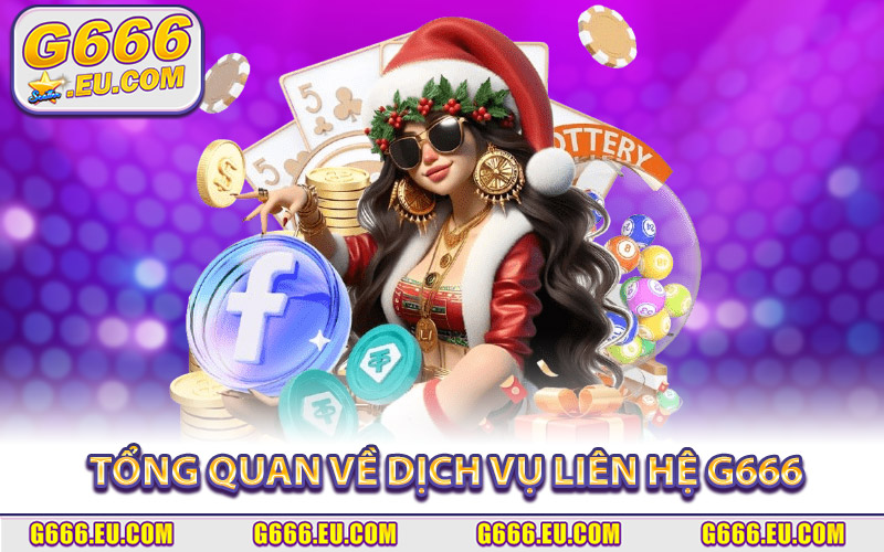 Tổng Quan Về Dịch Vụ Liên Hệ G666